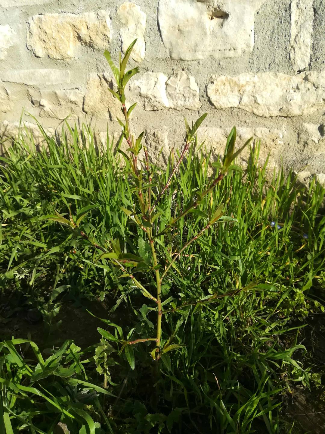 Annexe vue densemble.jpg