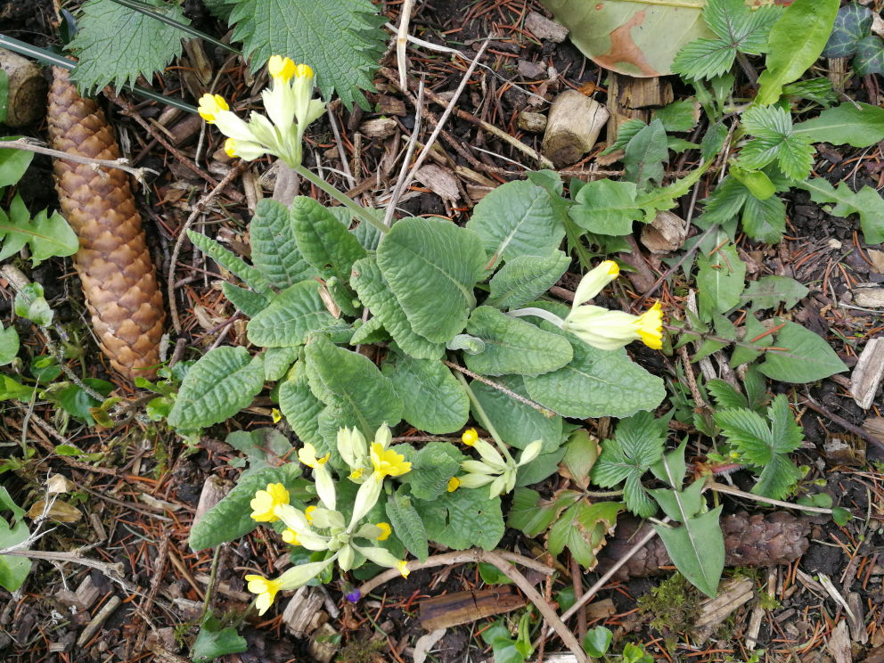 Annexe coucou_ensemble.jpeg