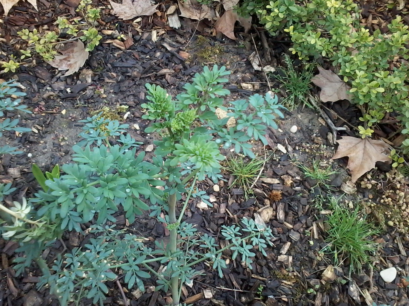Annexe Parc de Bercy photo #1.jpg