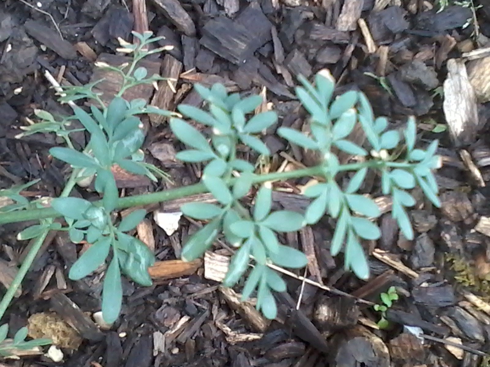 Annexe Parc de Bercy photo #2.jpg