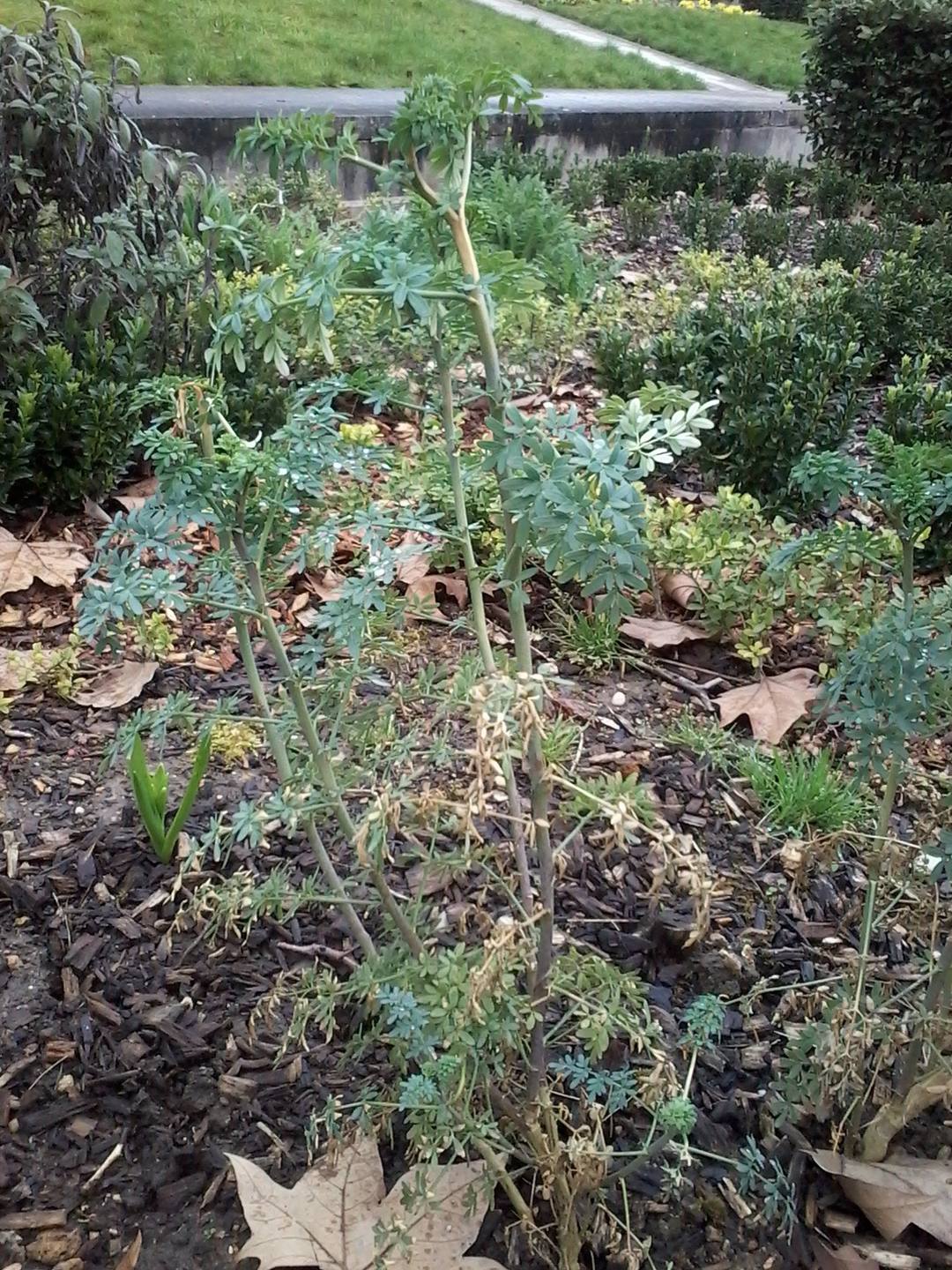 Annexe Parc de Bercy photo #3.jpg