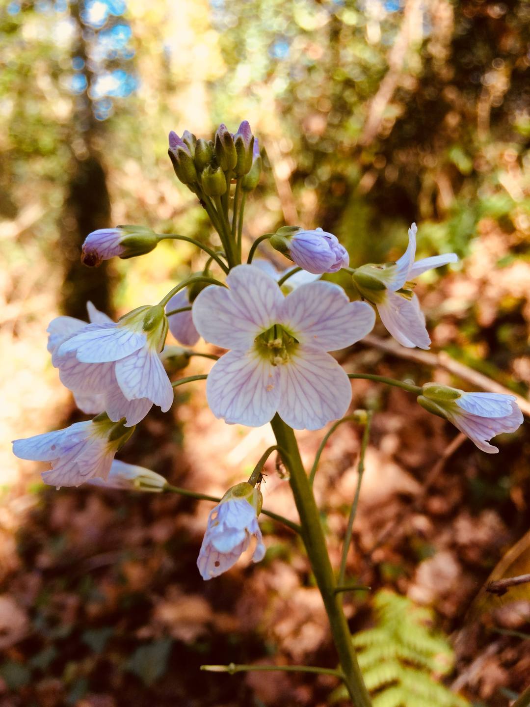 Annexe IMG_3389-min.JPG