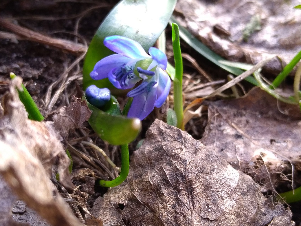 Annexe P_20180401_163456.jpg