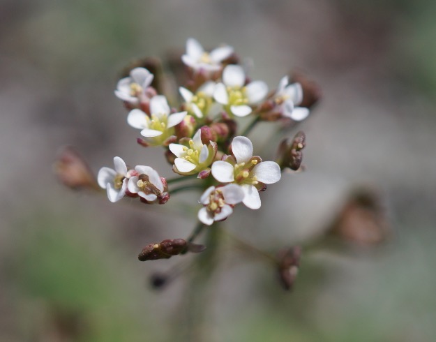 Annexe Capture d’écran 2018-04-01 à 22.26.48.jpg