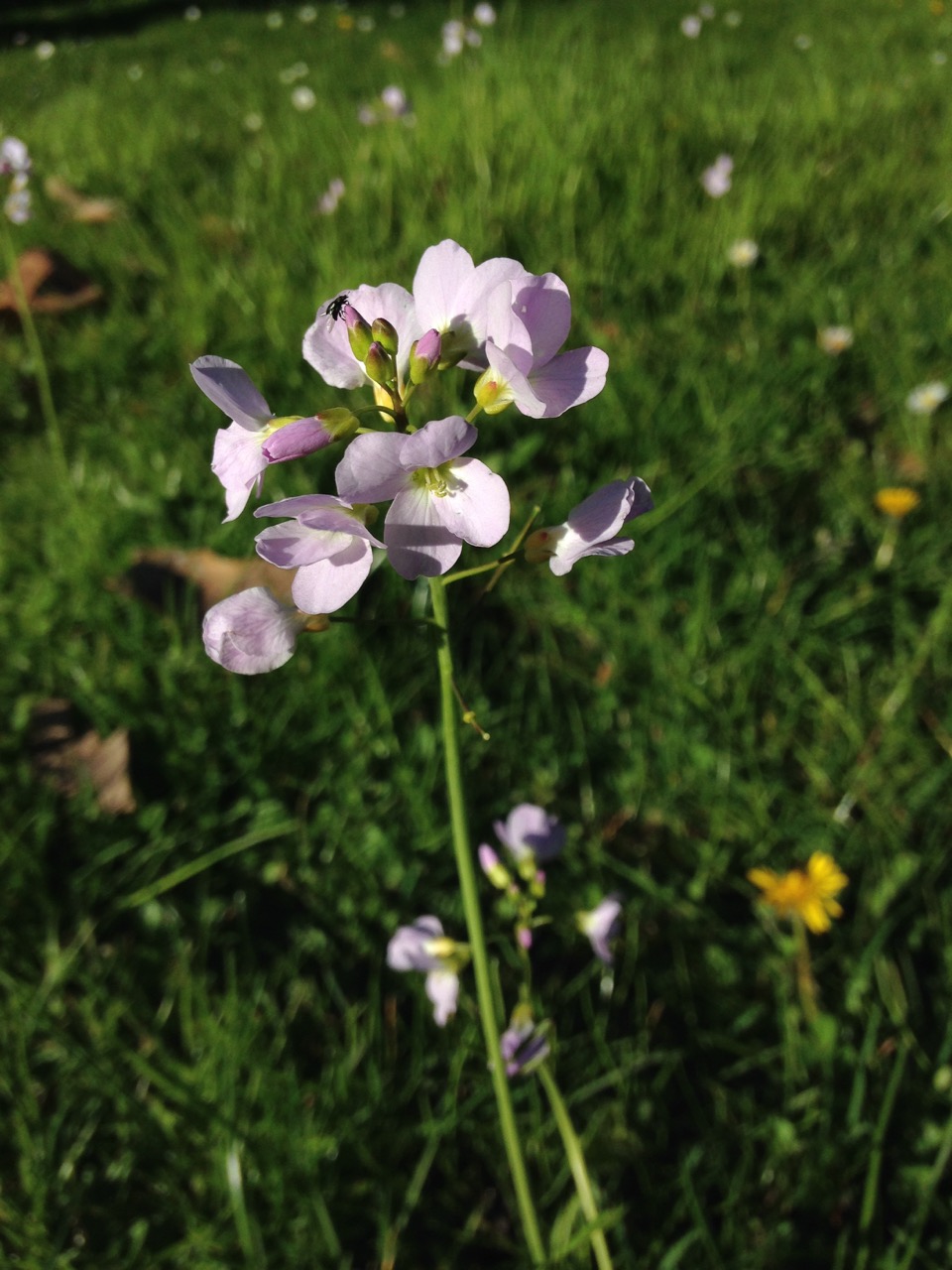 Annexe IMG_5570.jpeg