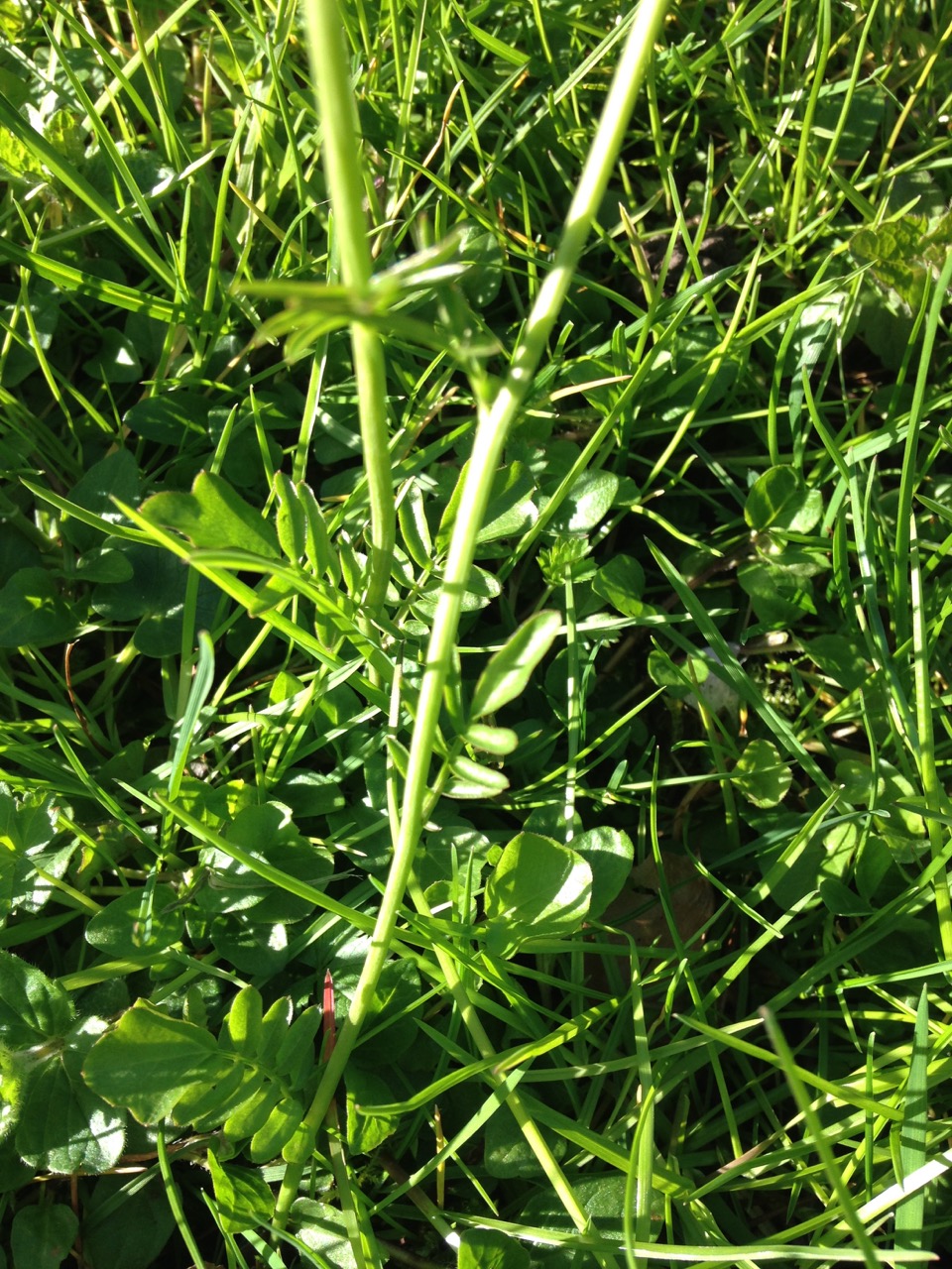 Annexe IMG_5572.jpeg