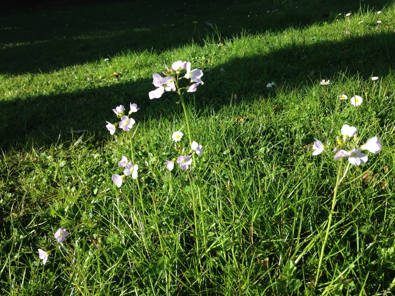 Annexe IMG_5583.jpeg