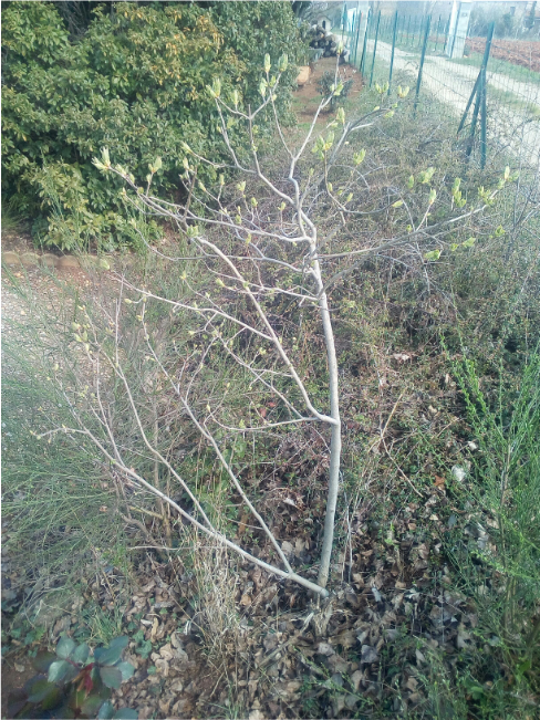 Annexe 20180401_233615_2141459666.png