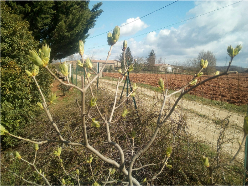 Annexe 20180401_233725_-52361487.png