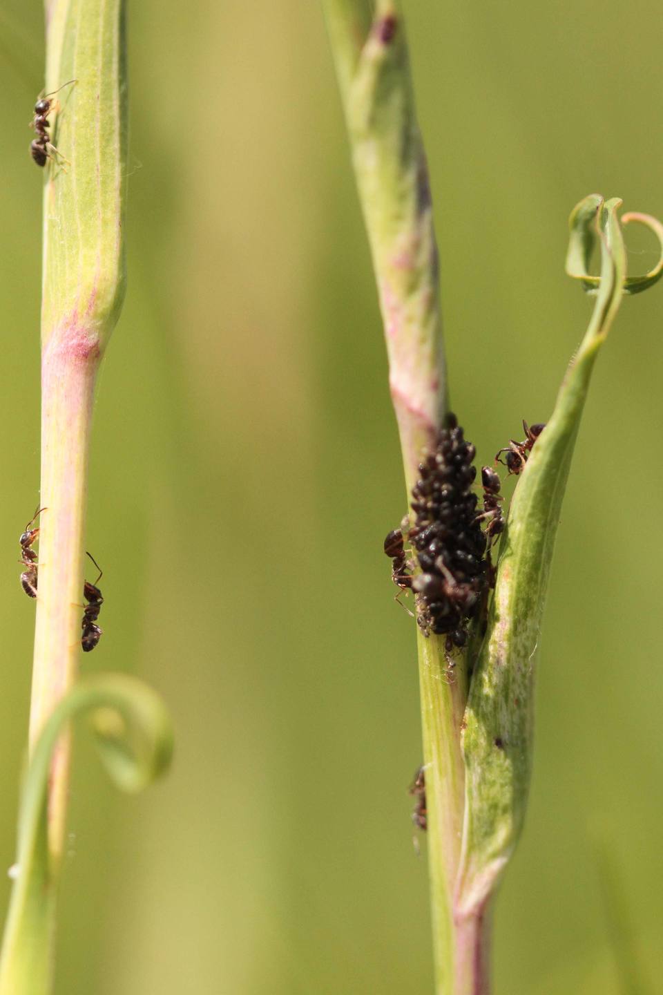 Annexe IMG_9304 b.jpg