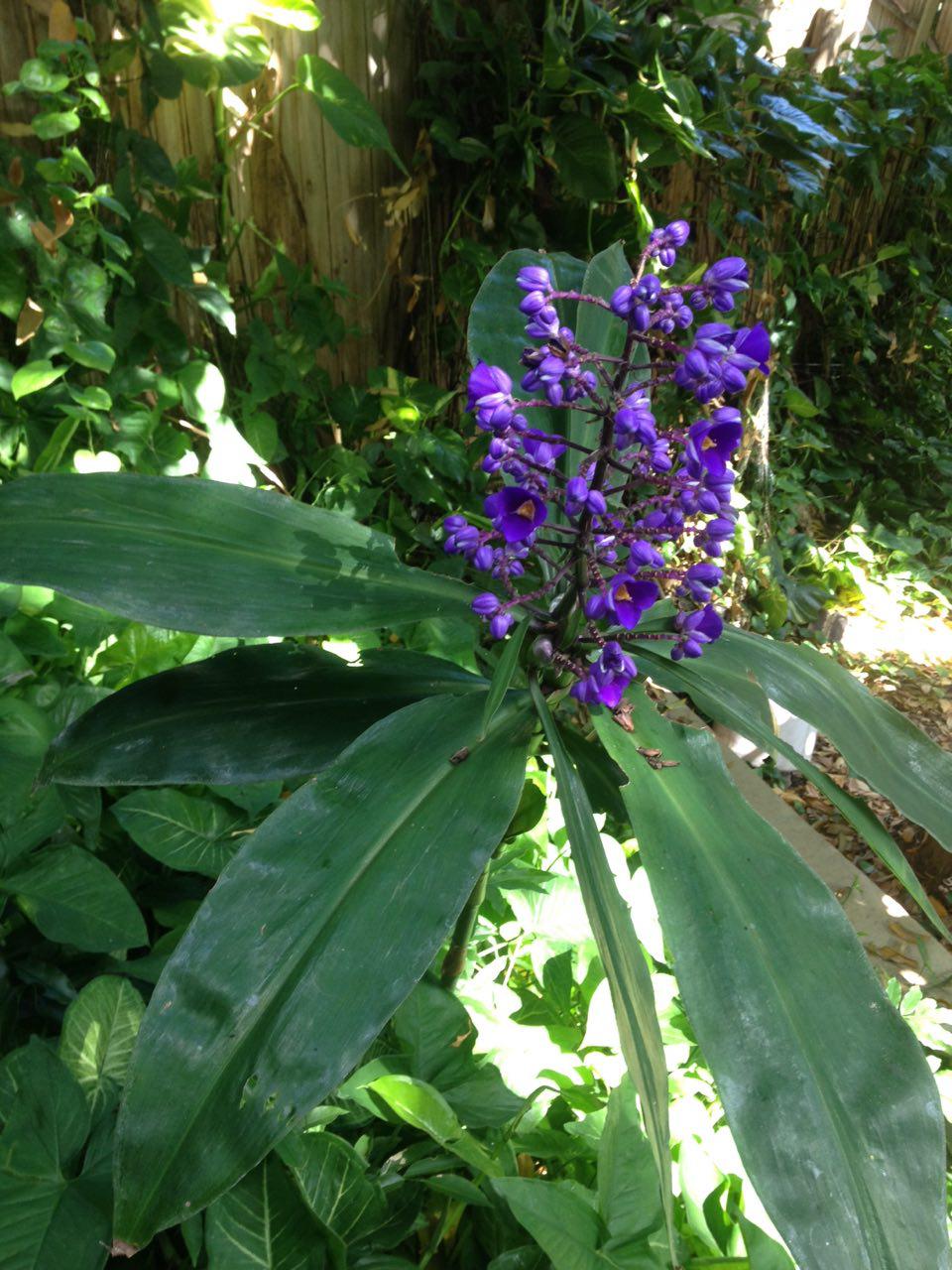 Annexe photo_2018-04-02_13-52-28.jpg