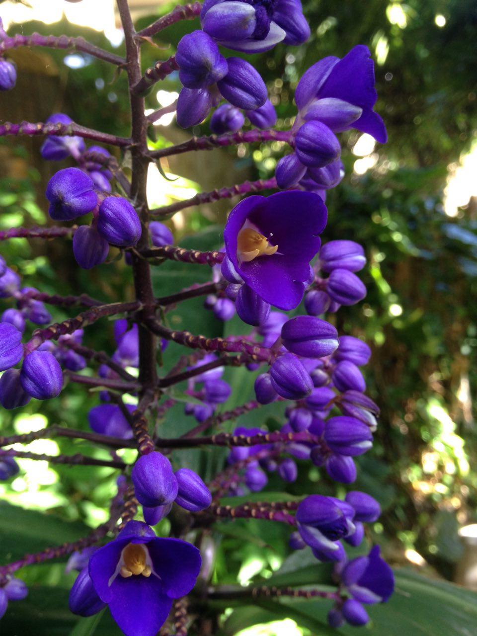 Annexe photo_2018-04-02_13-52-31.jpg