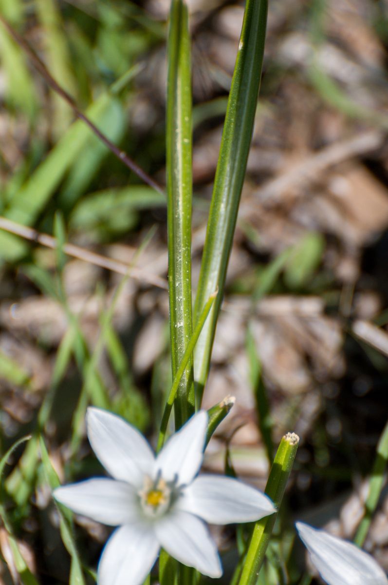 Annexe 18 04 01 011 Dame dOnze Heures Saint-Cyr-sur-Mer.jpg