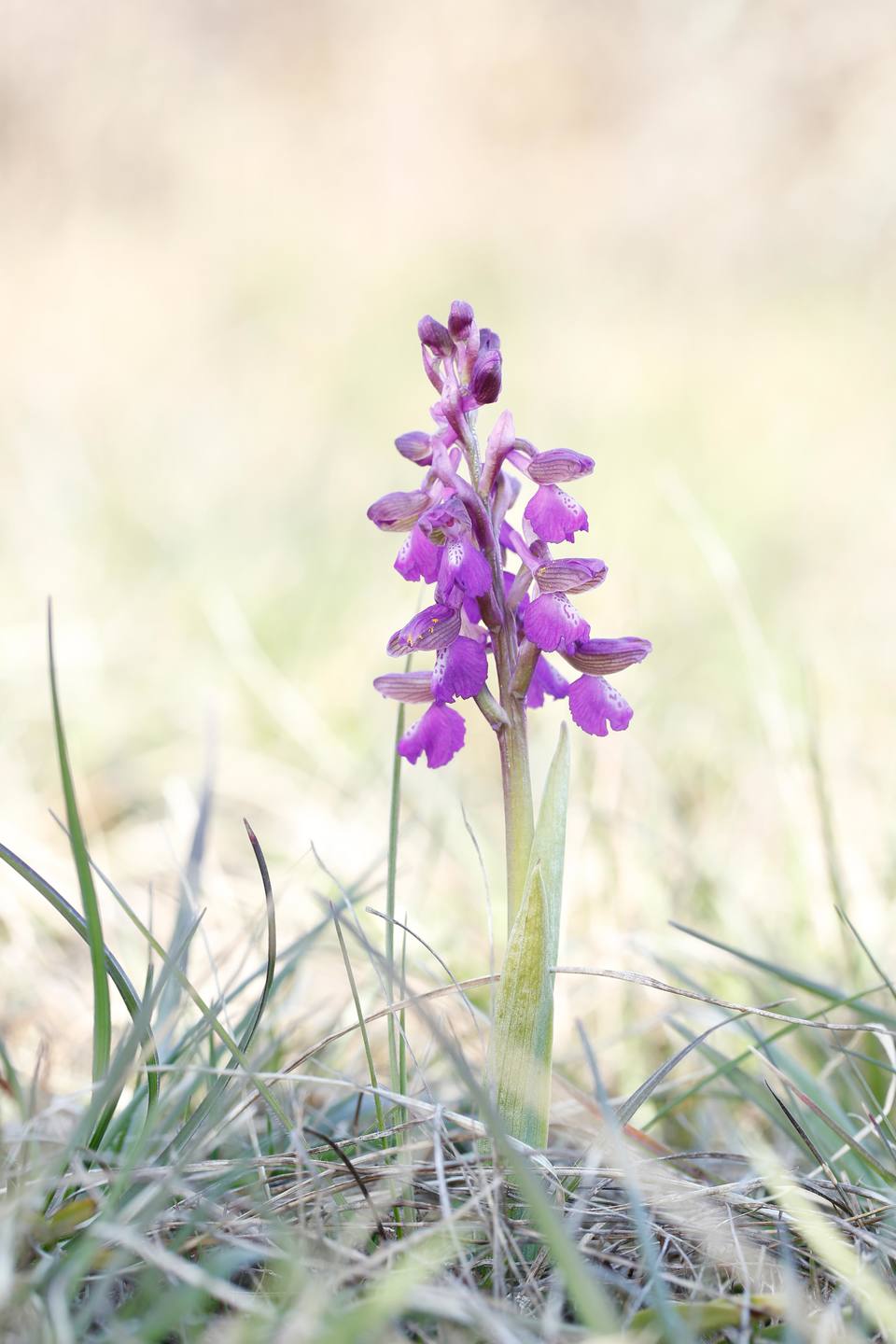 Annexe _E3A1348.3.jpg