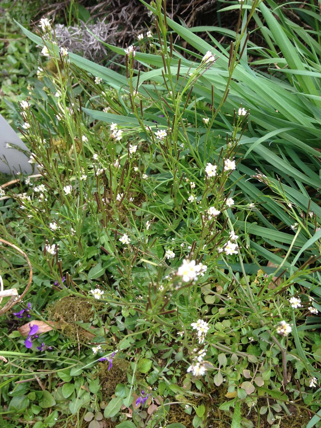 Annexe IMG_7297-min.JPG