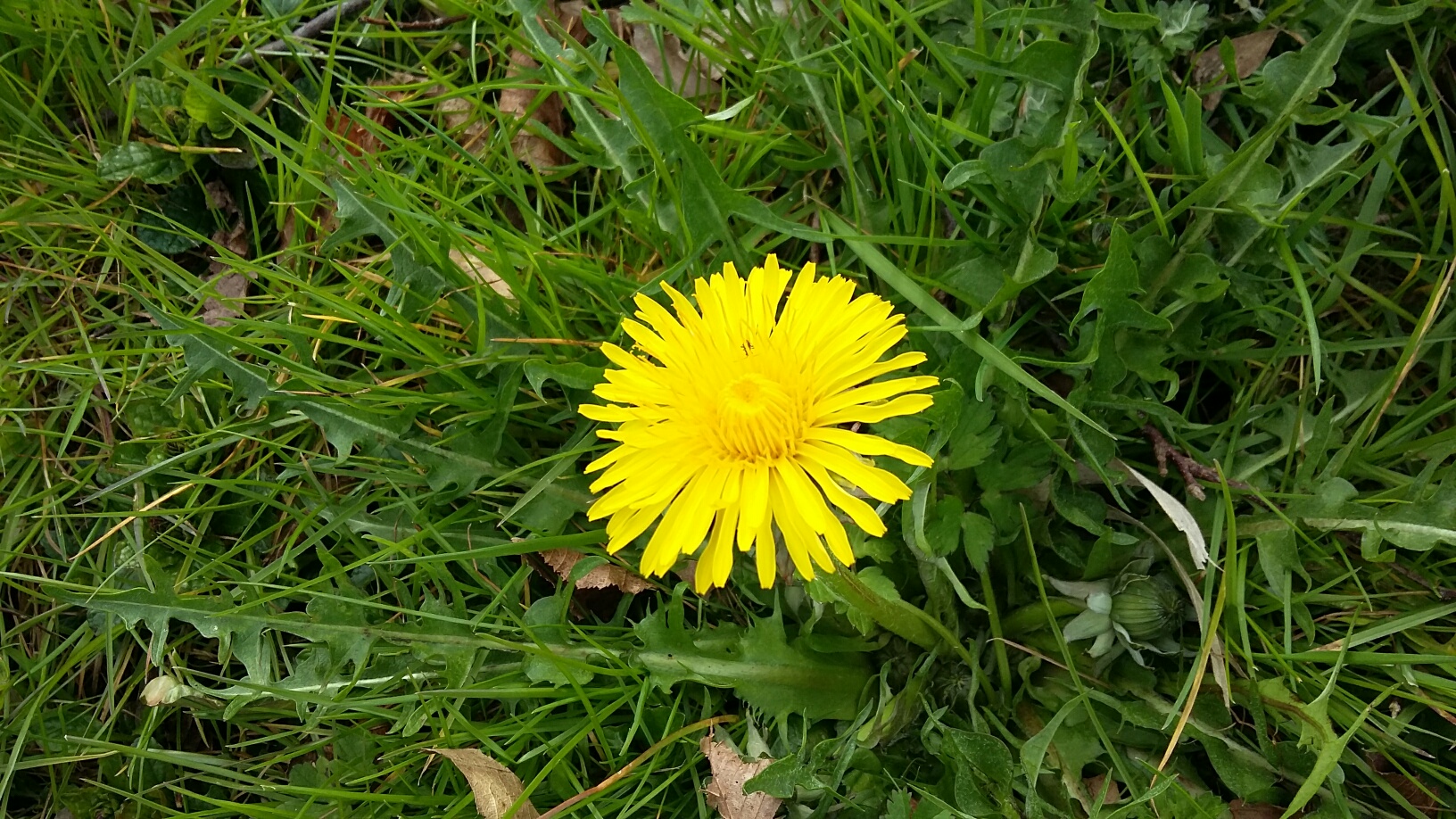 Annexe 20180402_174013_resized.jpg