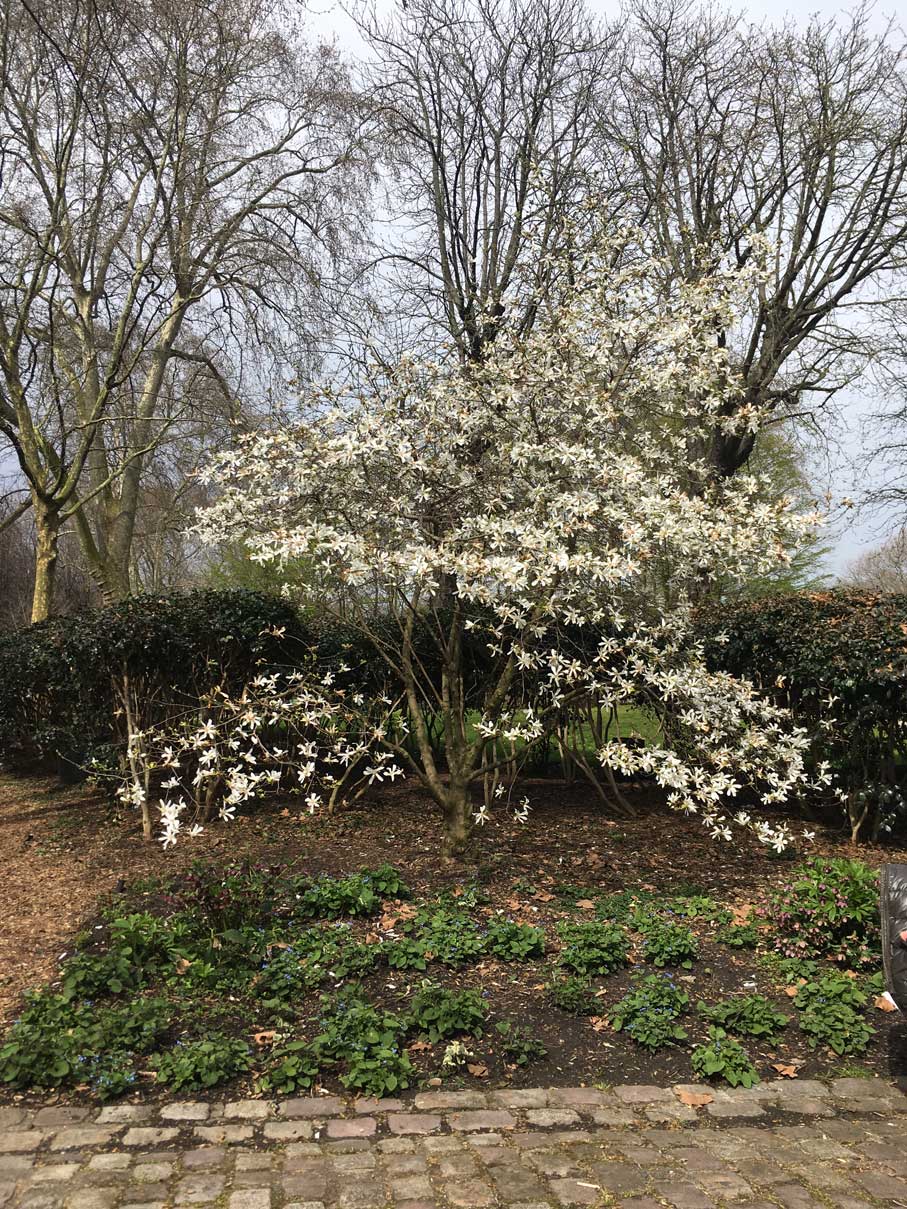 Annexe IMG_8191_.jpg