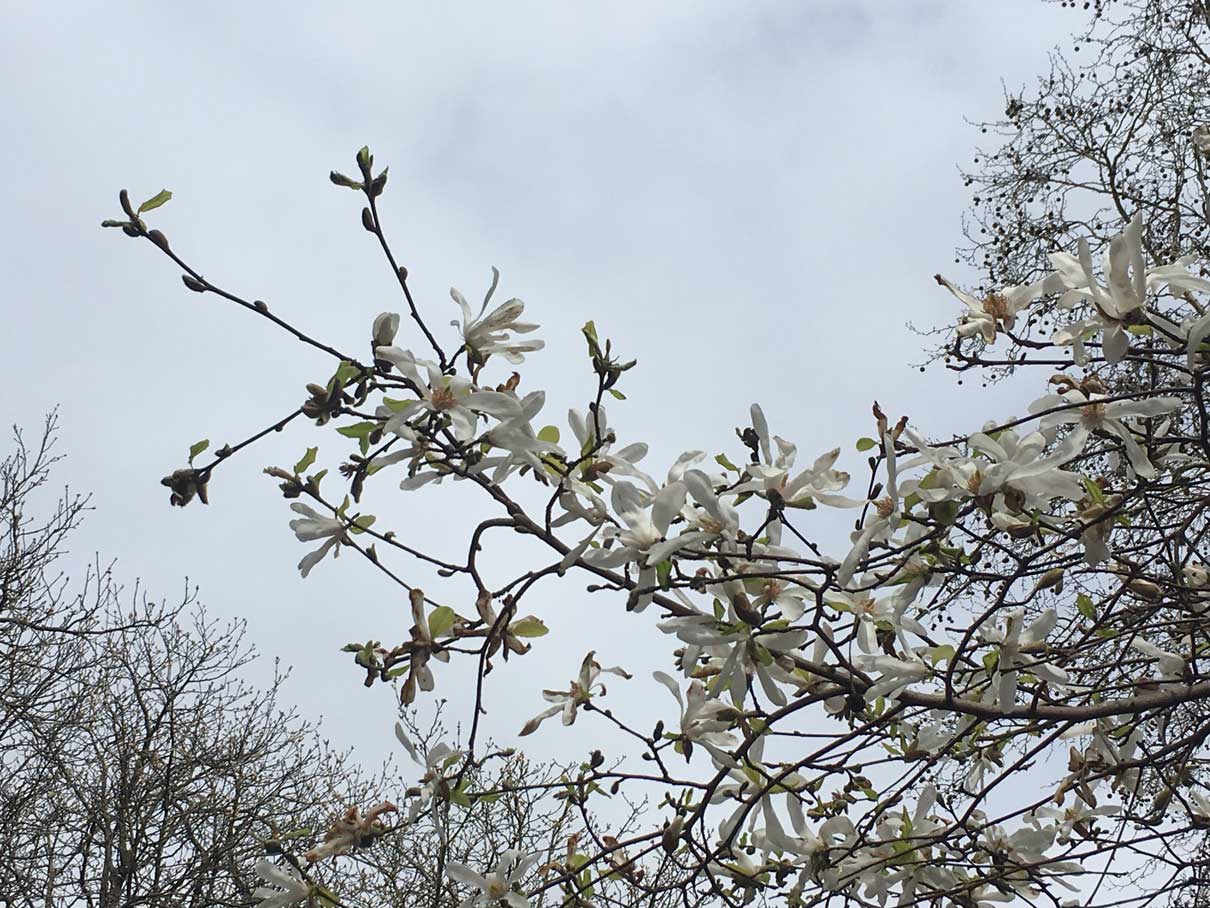 Annexe IMG_8202_.jpg