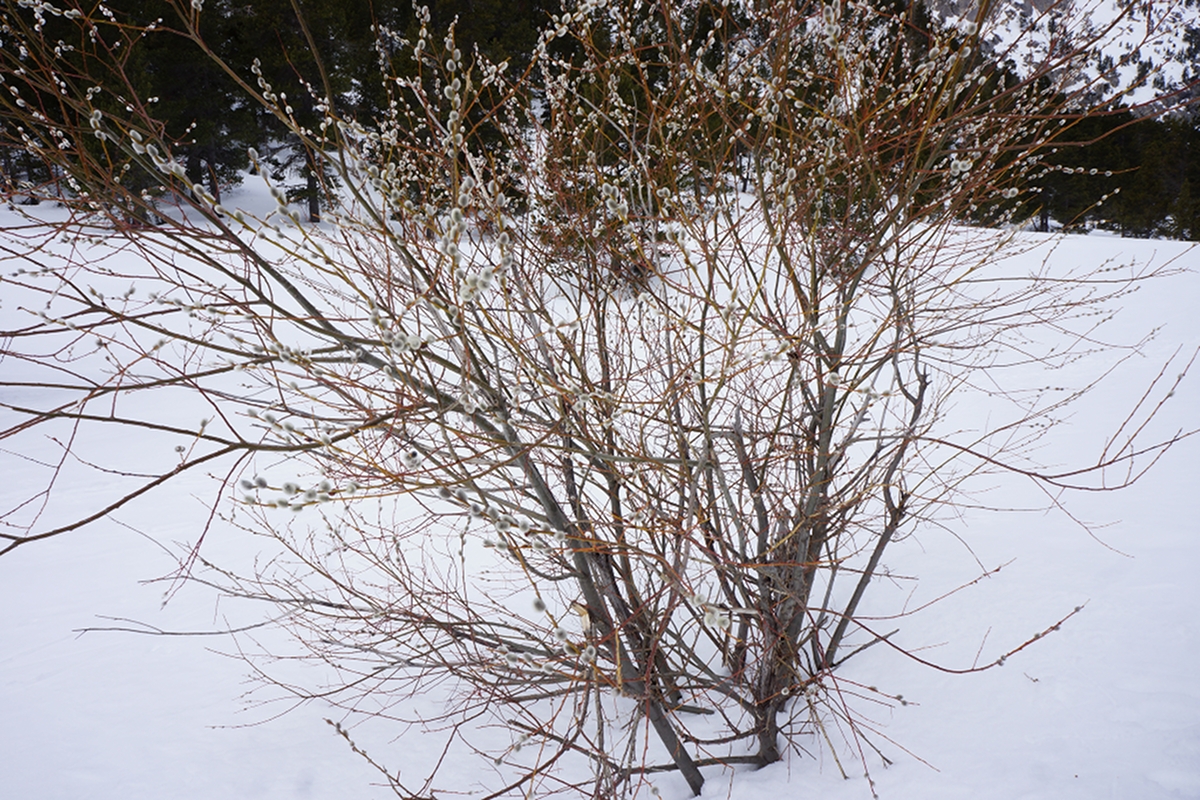 Annexe mooc-seq1-photo01.JPG