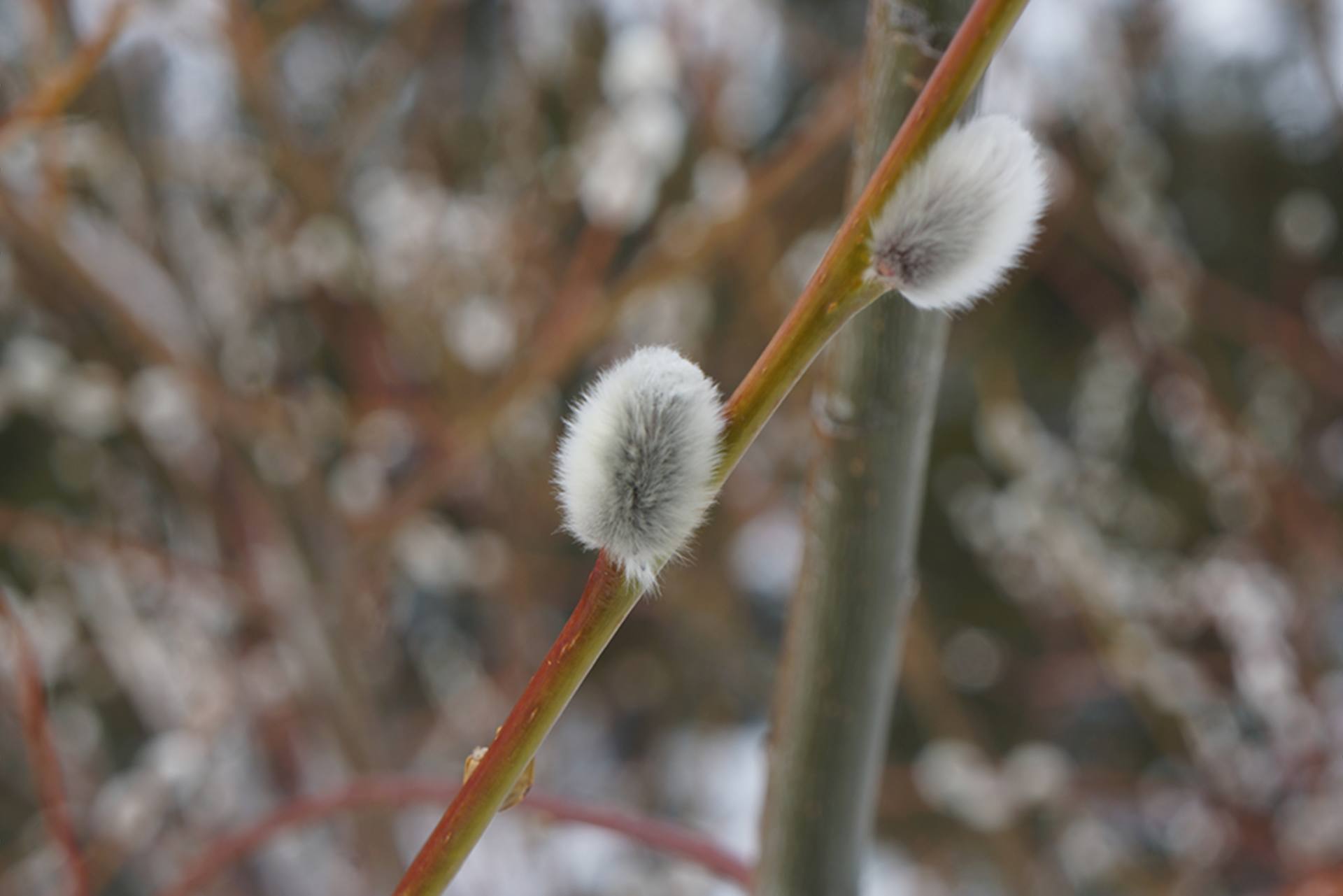 Annexe mooc-seq1-photo02.JPG