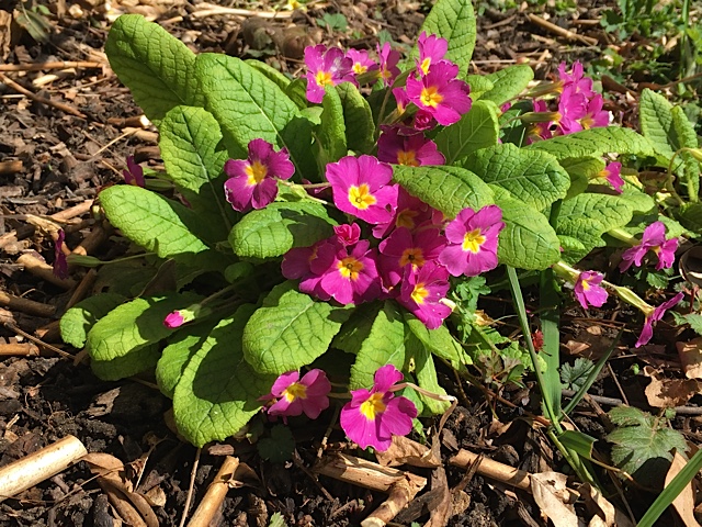 Annexe vue densemble.jpg