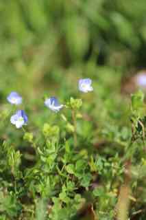 Annexe vue ensemble 2.jpg