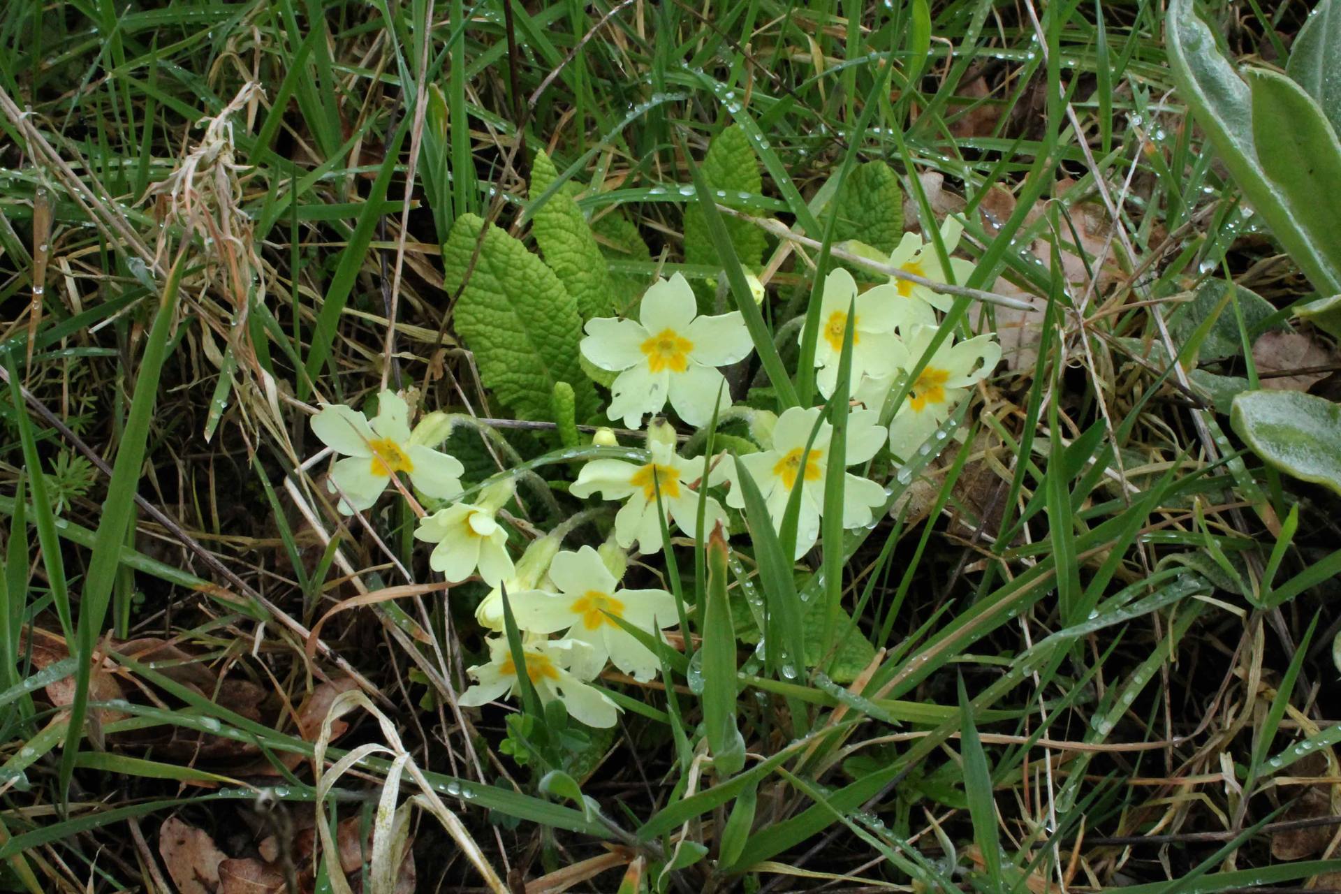 Annexe IMG_0264web.jpg