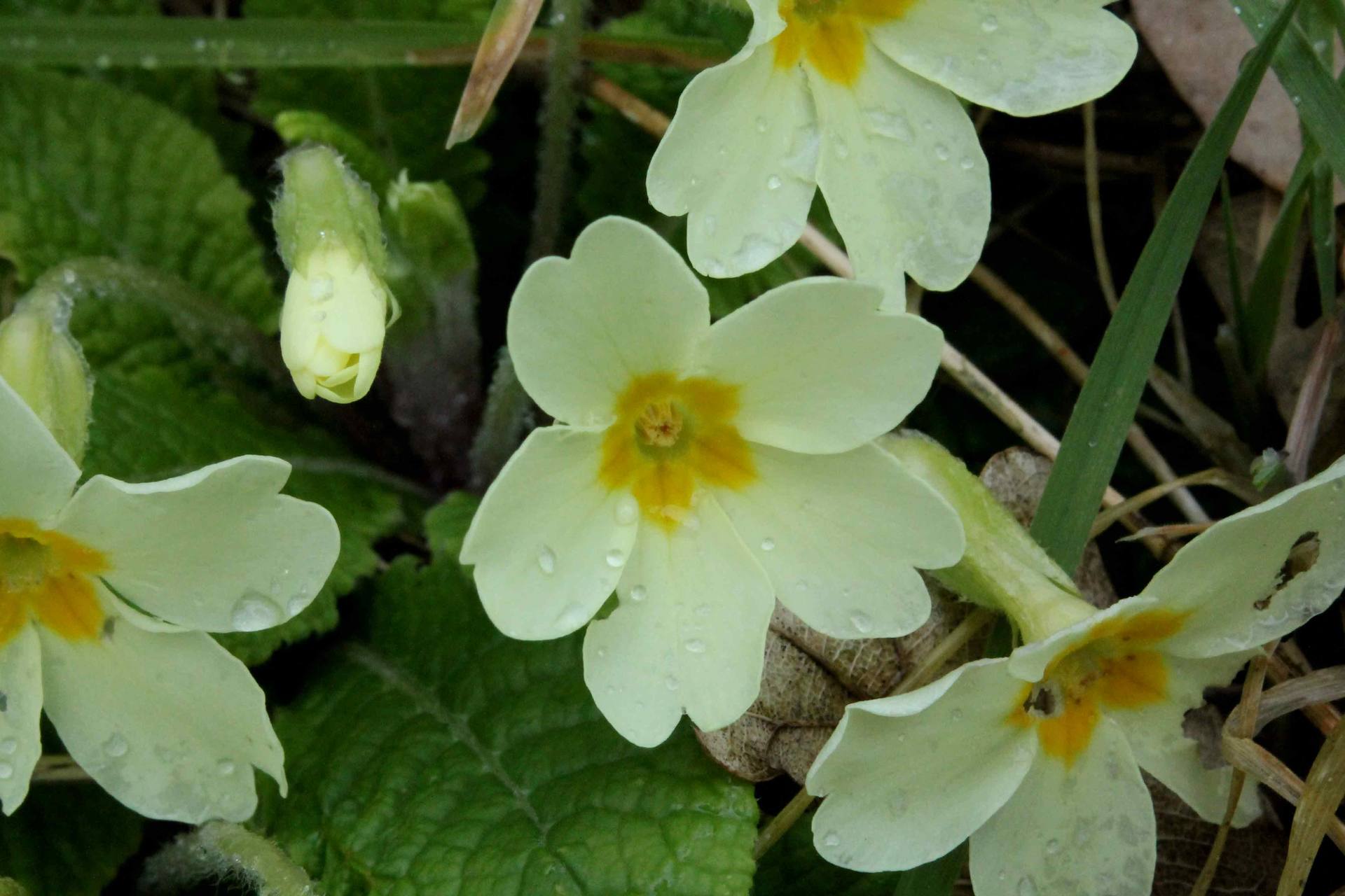 Annexe IMG_0265web.jpg