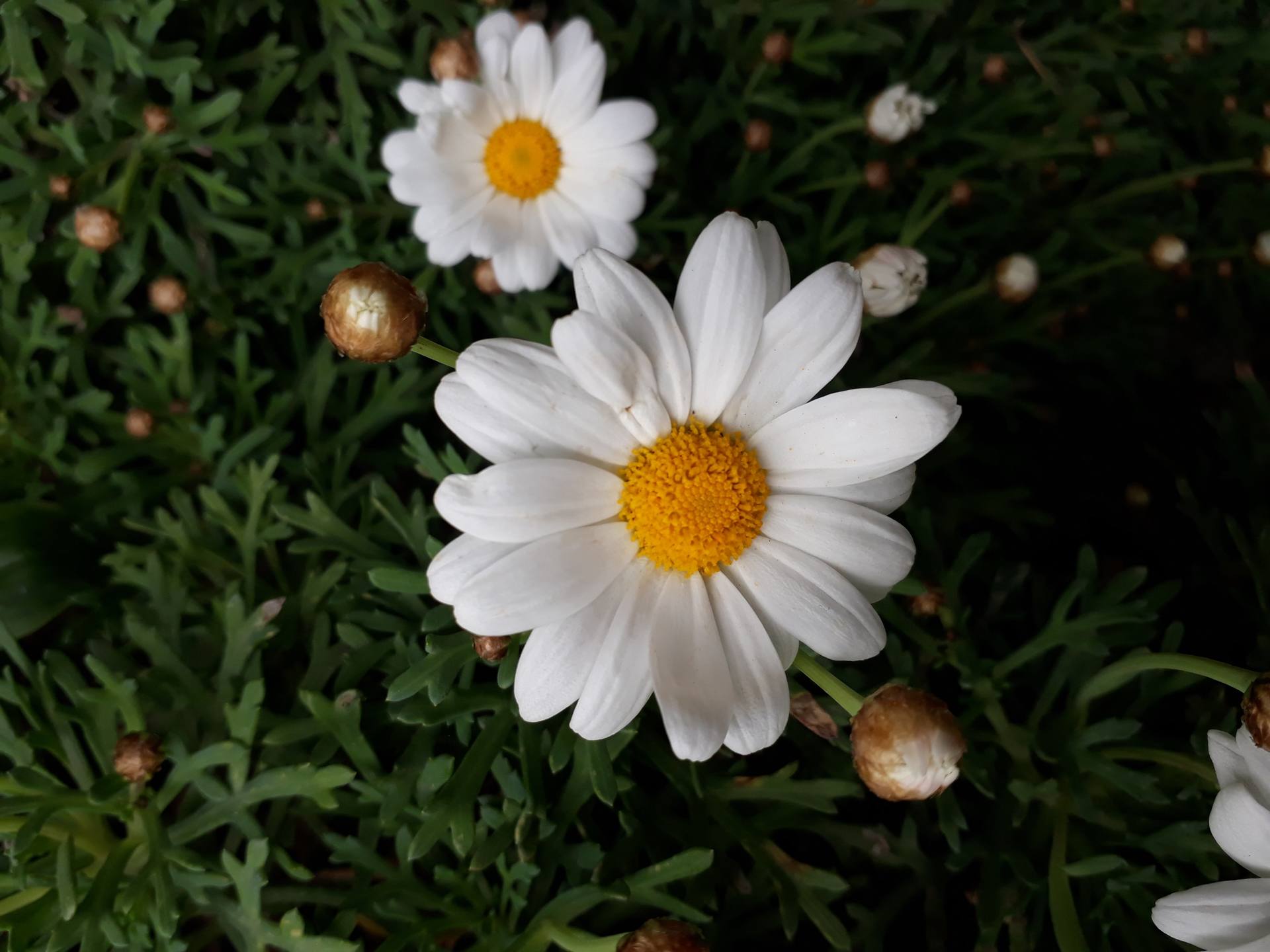 Annexe 20180402_164343.jpg