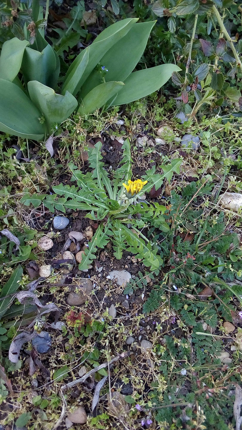 Annexe IMG_20180401_185255.jpg