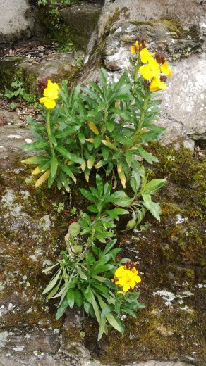 Annexe 1522633170939.jpg