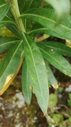 Annexe 1522633195203.jpg