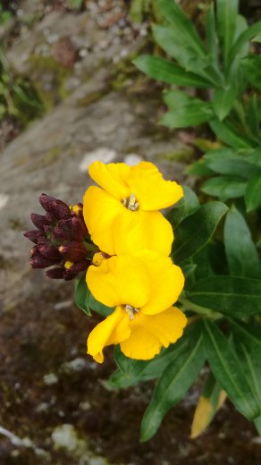 Annexe 1522633196513.jpg