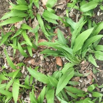 Annexe 2018-04-02 17.36.49.jpg