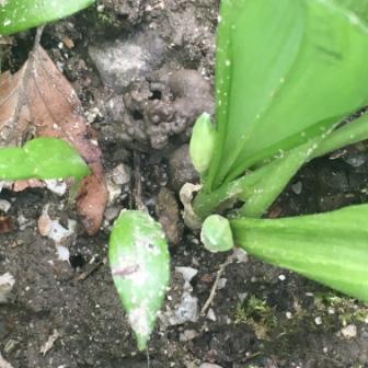 Annexe 2018-04-02 17.37.14.jpg