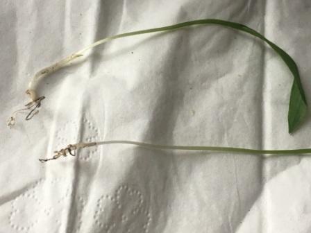 Annexe 2018-04-02 19.05.18.jpg