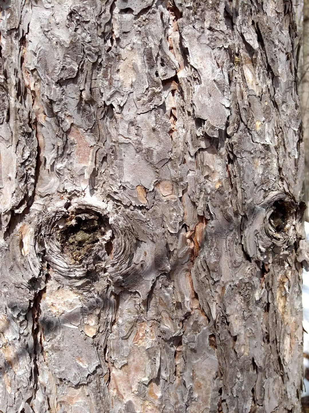 Annexe IMG_20180401_123714245.jpg