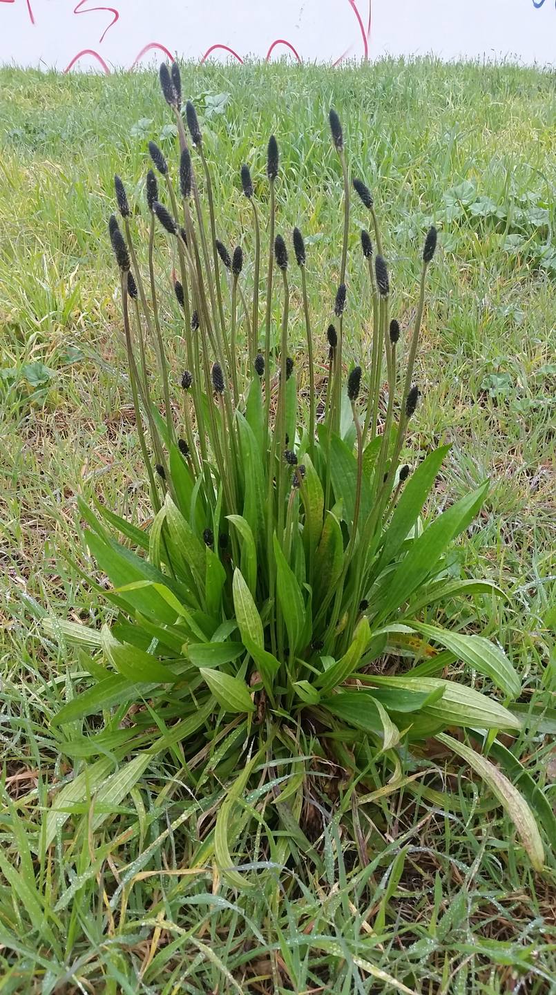 Annexe 20180327_135955-min.jpg