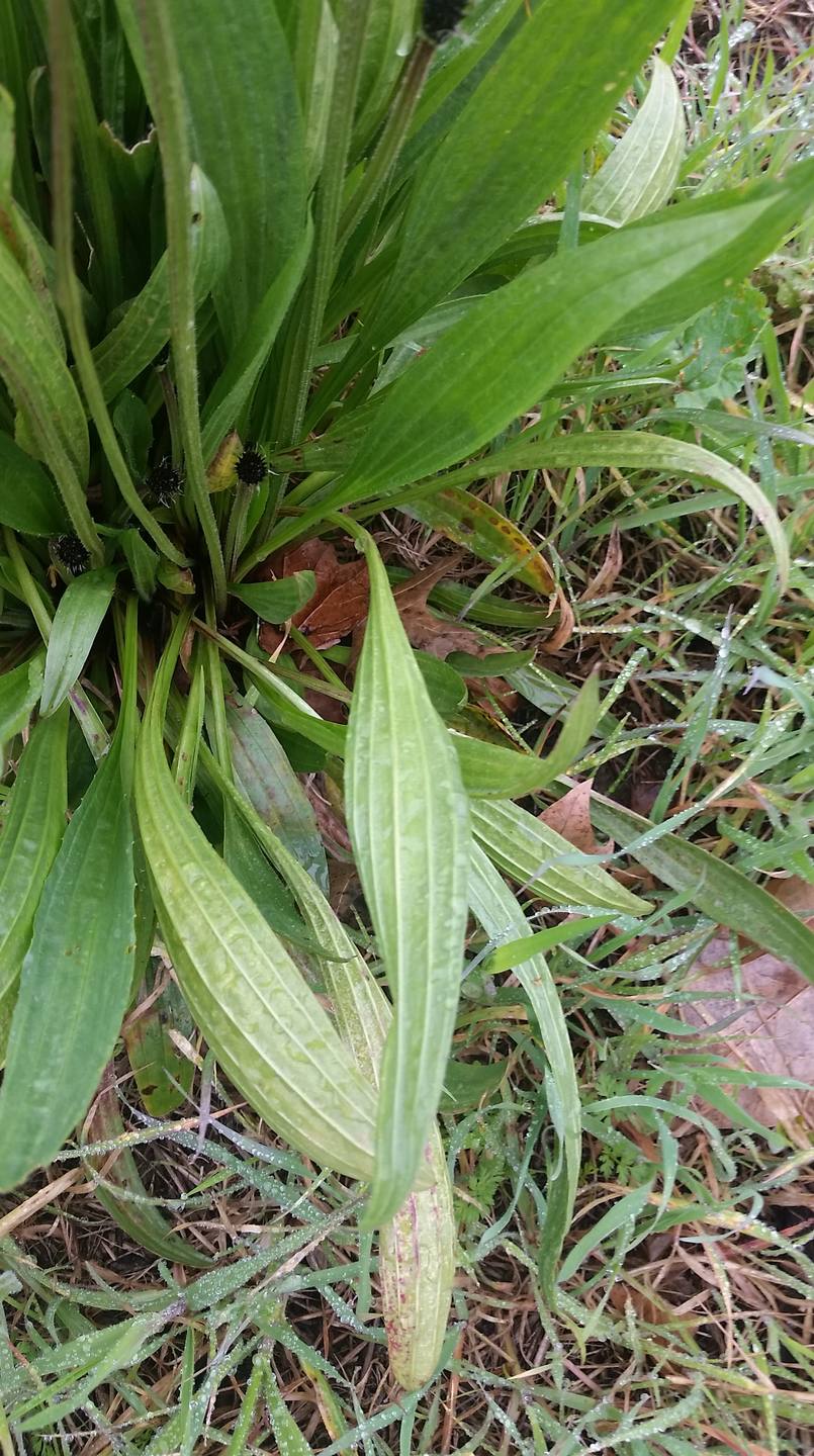 Annexe 20180327_140011-min.jpg