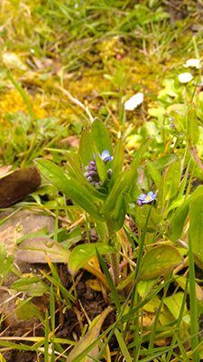 Annexe P_20180327_174542.jpg