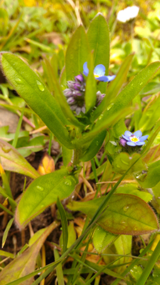 Annexe P_20180327_174617.jpg