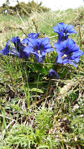 Annexe 20160510_151652.jpg