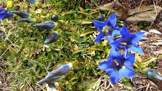 Annexe 20160510_161610.jpg