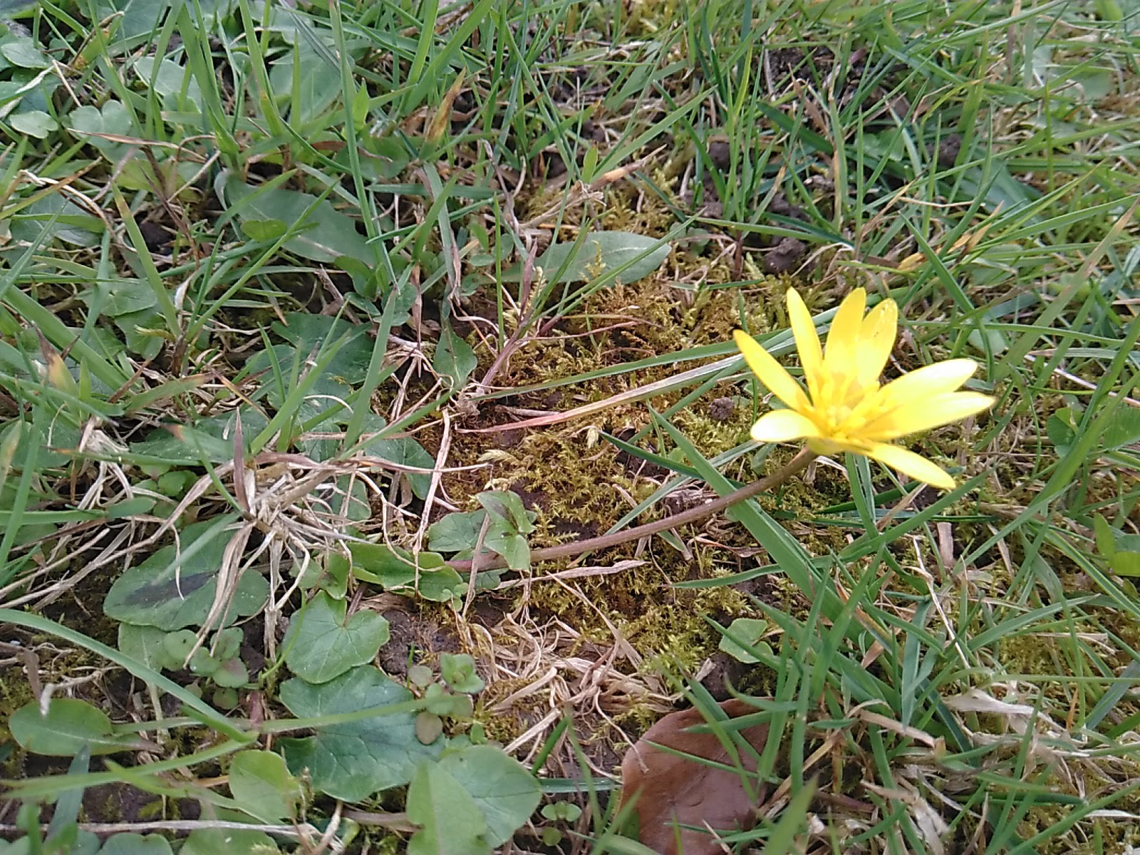 Annexe IMG_20180329_160832.jpg