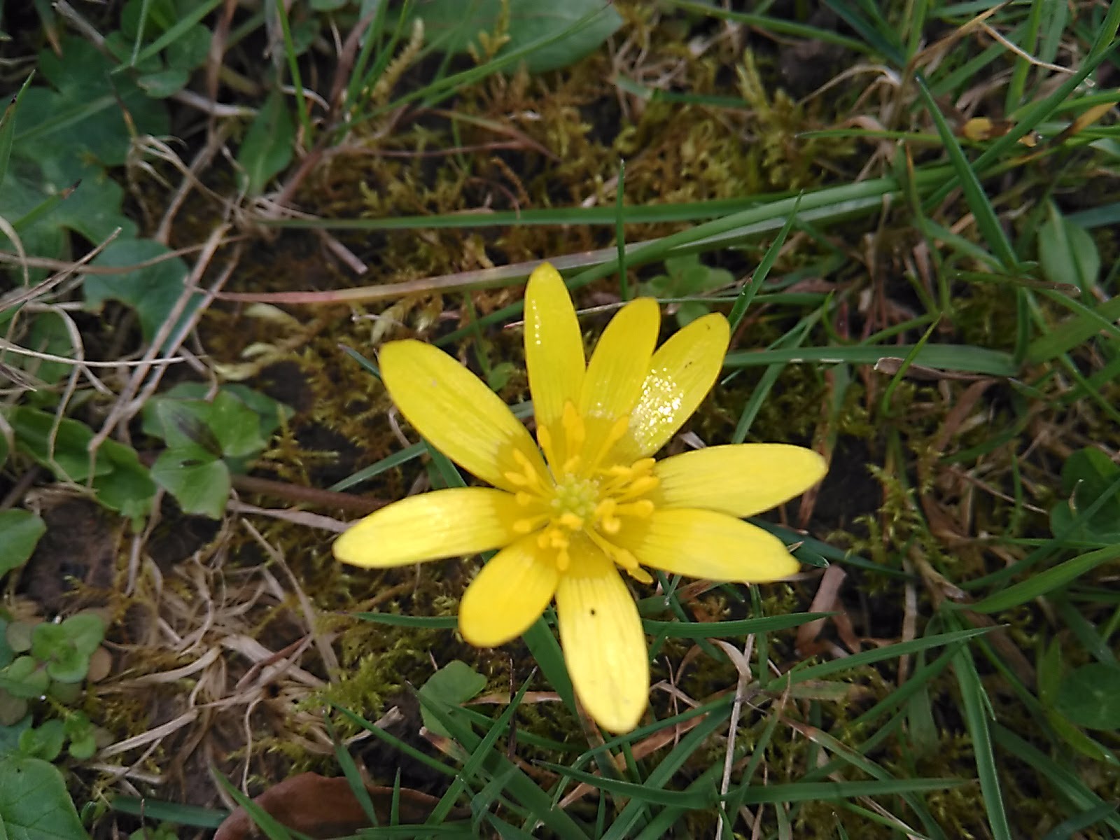 Annexe IMG_20180329_160839.jpg