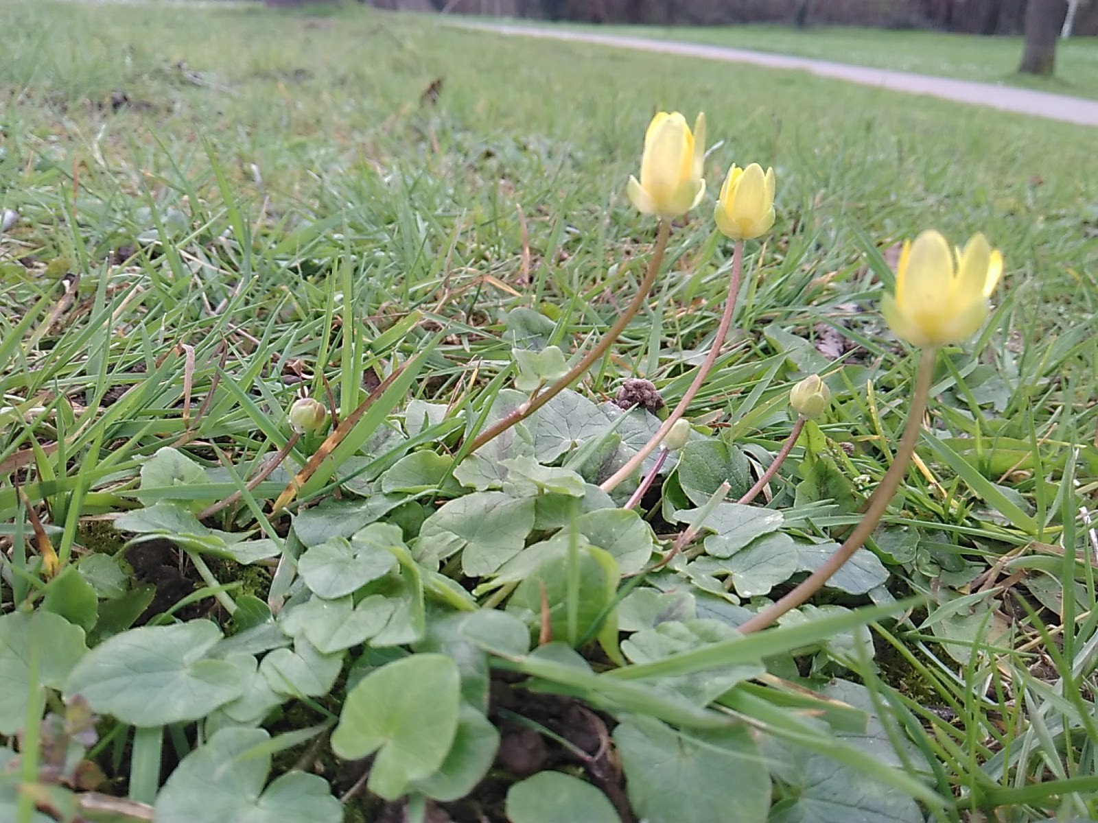 Annexe IMG_20180329_160928.jpg