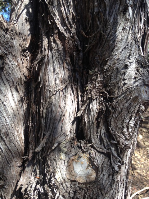 Annexe IMG_5797.jpeg