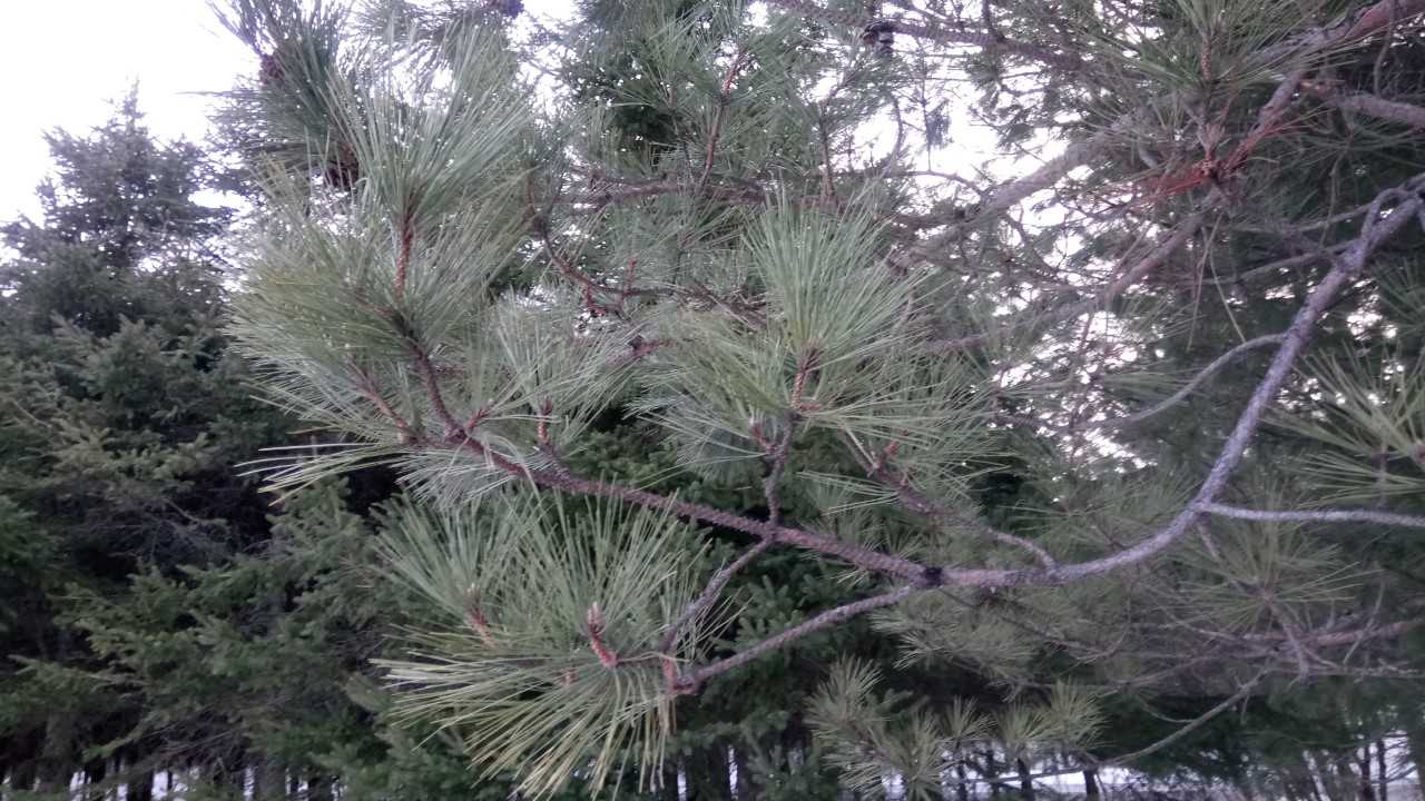 Annexe download (1).jpg