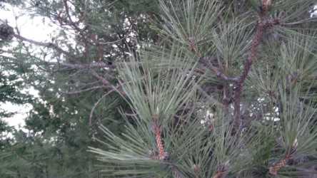 Annexe download (2).jpg