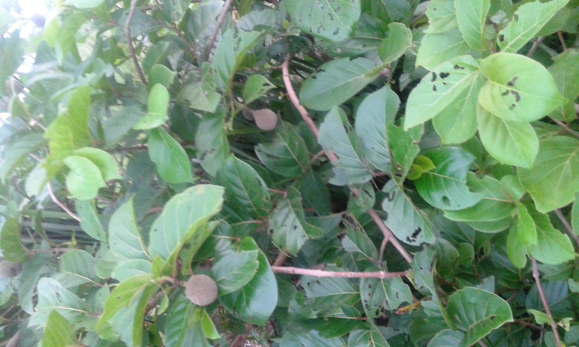 Annexe 20180404_055804.jpg